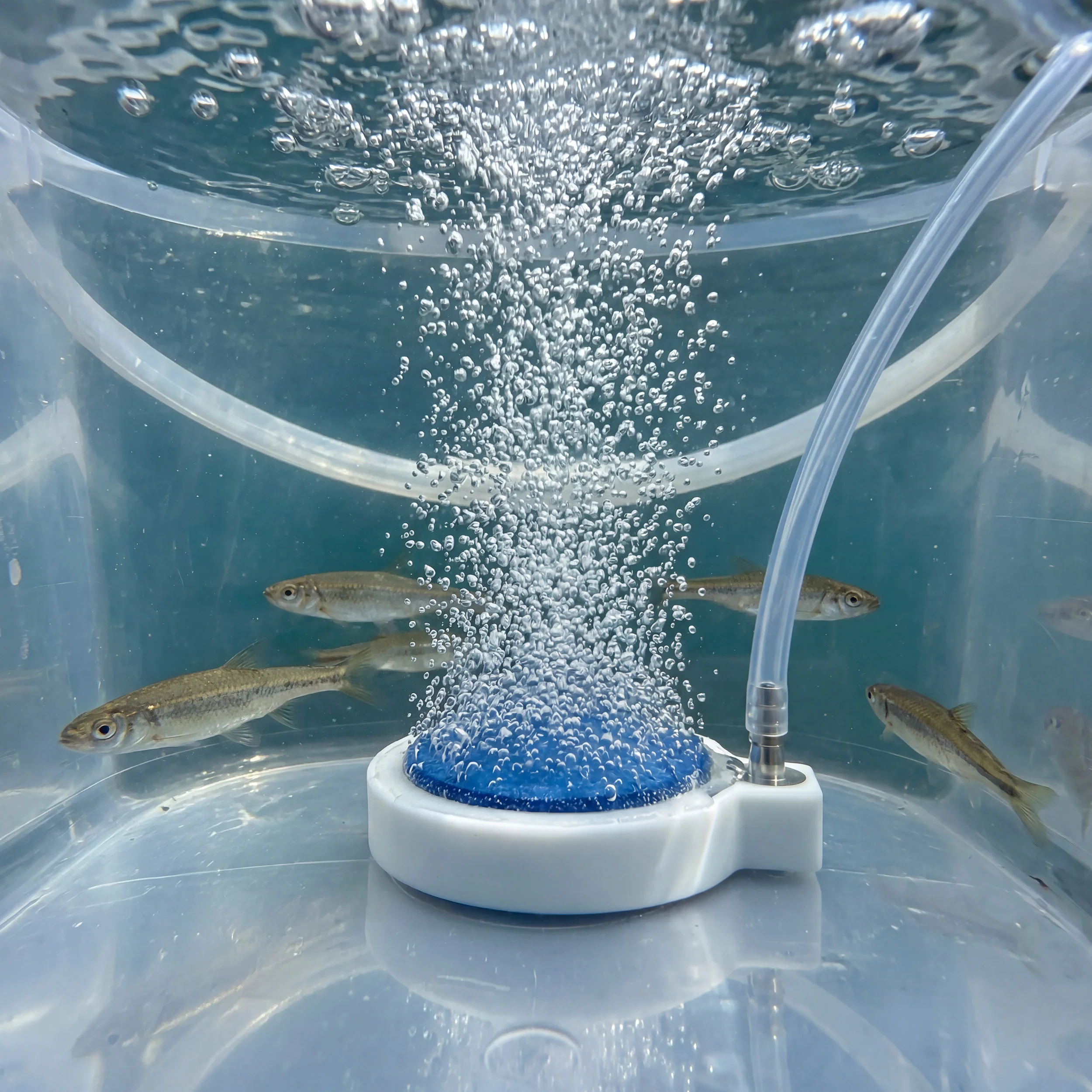 2" Live Bait Aerator Stone - Image 3
